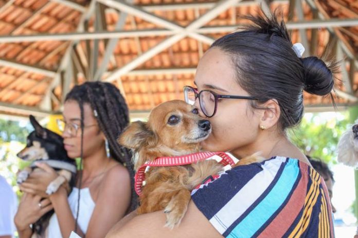 vacinacao-antirrabica-em-Petrolina